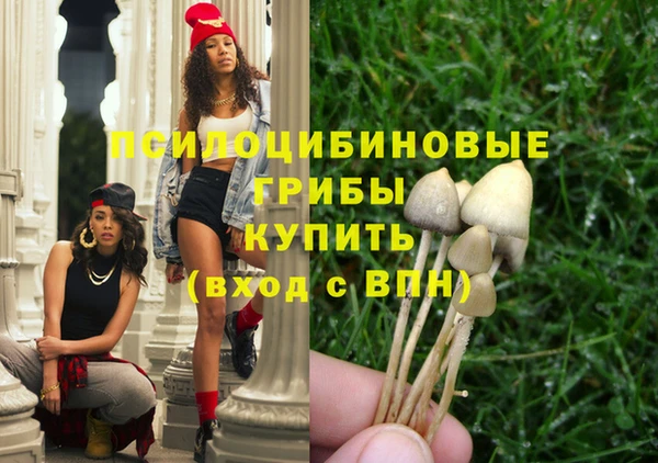 кокаин Вяземский