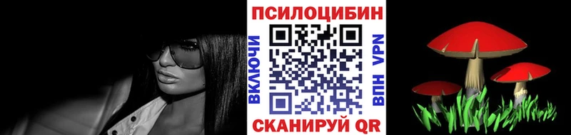 shop какой сайт  Заозёрск  Галлюциногенные грибы Psilocybine cubensis  как найти  